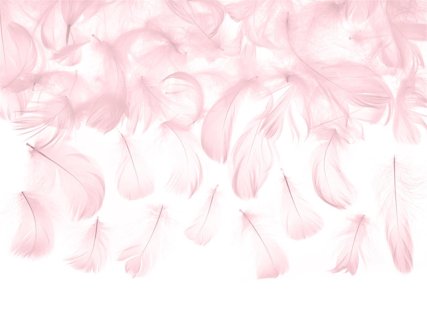 Ukrasno rozo perje